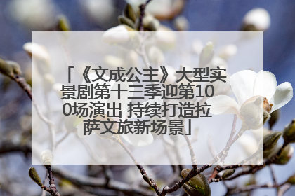 《文成公主》大型实景剧第十三季迎第100场演出 持续打造拉萨文旅新场景