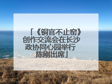 《铜官不止窑》创作交流会在长沙政协同心园举行 陈刚出席
