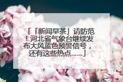 「新闻早茶」请防范！河北省气象台继续发布大风蓝色预警信号，还有这些热点……