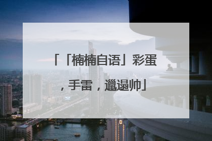 「楠楠自语」彩蛋，手雷，邋遢帅