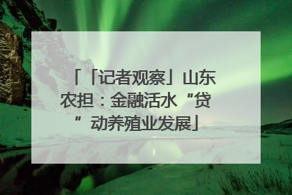 「记者观察」山东农担：金融活水“贷”动养殖业发展