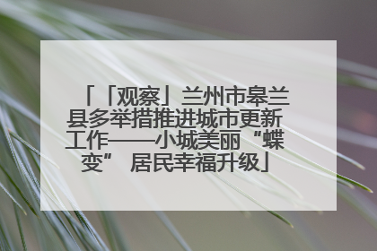 「观察」兰州市皋兰县多举措推进城市更新工作——小城美丽“蝶变” 居民幸福升级