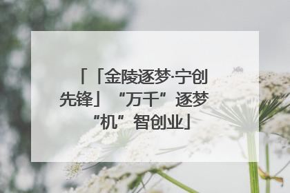 「金陵逐梦·宁创先锋」“万千”逐梦 “机”智创业