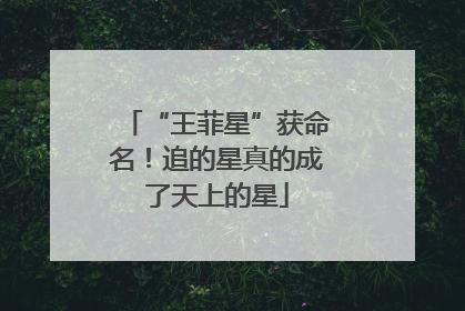 “王菲星”获命名！追的星真的成了天上的星