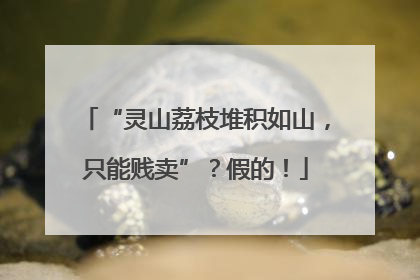 “灵山荔枝堆积如山，只能贱卖”？假的！