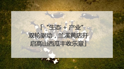 “生态 + 产业”双轮驱动，兰溪黄店开启高山西瓜丰收乐章
