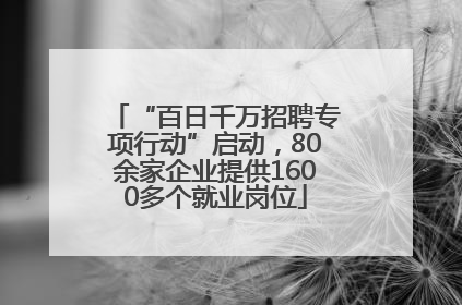“百日千万招聘专项行动”启动，80余家企业提供1600多个就业岗位