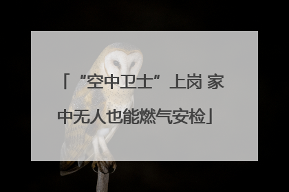 “空中卫士”上岗 家中无人也能燃气安检