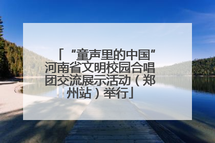 “童声里的中国”河南省文明校园合唱团交流展示活动（郑州站）举行