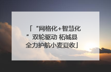 “网格化+智慧化”双轮驱动 柘城县全力护航小麦夏收