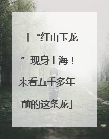 “红山玉龙”现身上海！来看五千多年前的这条龙