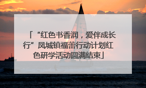 “红色书香润，爱伴成长行”凤城镇福蕾行动计划红色研学活动圆满结束