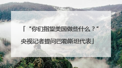 “你们指望美国做些什么？”央视记者提问巴勒斯坦代表