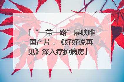 “一带一路”展映唯一国产片，《好好说再见》深入疗护病房