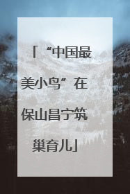 “中国最美小鸟”在保山昌宁筑巢育儿