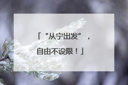“从宁出发”，自由不设限！