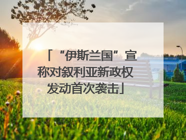 “伊斯兰国”宣称对叙利亚新政权发动首次袭击