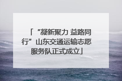 “凝新聚力 益路同行”山东交通运输志愿服务队正式成立