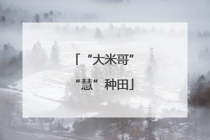 “大米哥”“慧”种田