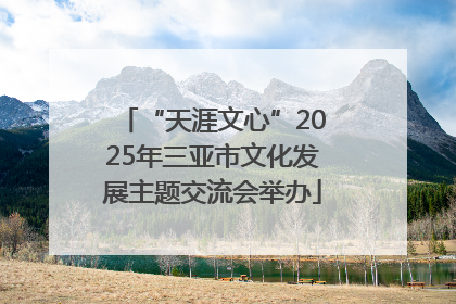 “天涯文心”2025年三亚市文化发展主题交流会举办