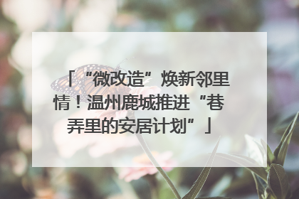 “微改造”焕新邻里情！温州鹿城推进“巷弄里的安居计划”