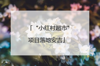 “小红村超市”项目落地安吉