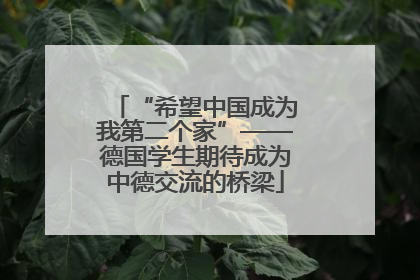 “希望中国成为我第二个家”——德国学生期待成为中德交流的桥梁