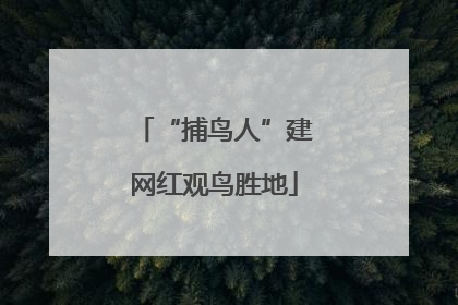 “捕鸟人”建网红观鸟胜地