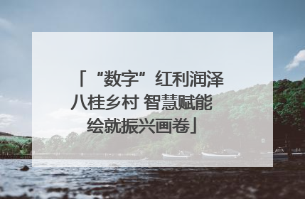 “数字”红利润泽八桂乡村 智慧赋能绘就振兴画卷