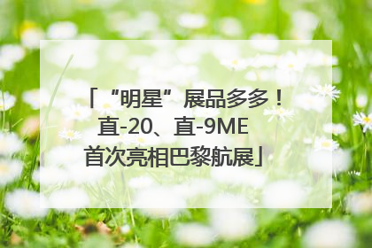 “明星”展品多多！直-20、直-9ME首次亮相巴黎航展