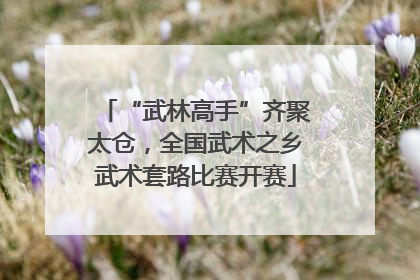 “武林高手”齐聚太仓，全国武术之乡武术套路比赛开赛