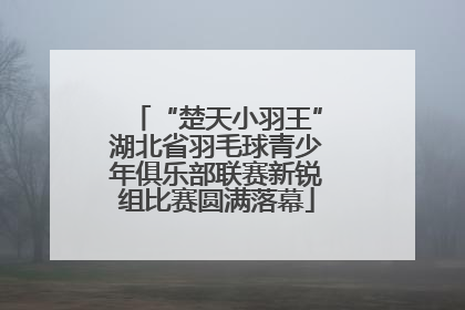 “楚天小羽王”湖北省羽毛球青少年俱乐部联赛新锐组比赛圆满落幕