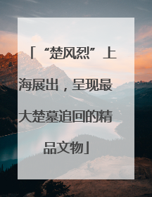 “楚风烈”上海展出，呈现最大楚墓追回的精品文物