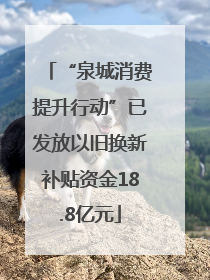 “泉城消费提升行动”已发放以旧换新补贴资金18.8亿元