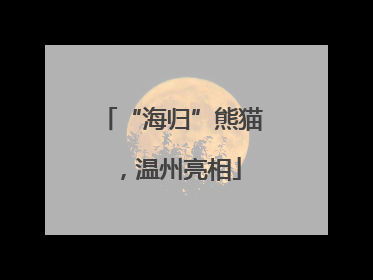 “海归”熊猫，温州亮相