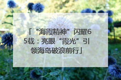 “海霞精神”闪耀65载：亮眼“霞光”引领海岛破浪前行