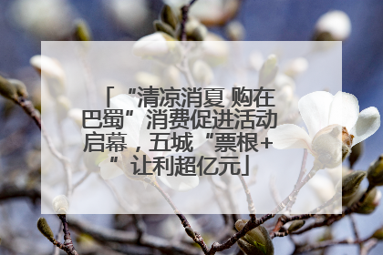 “清凉消夏 购在巴蜀”消费促进活动启幕，五城“票根+”让利超亿元