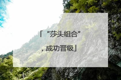 “莎头组合”，成功晋级