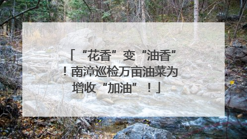 “花香”变“油香”！南漳巡检万亩油菜为增收“加油”！