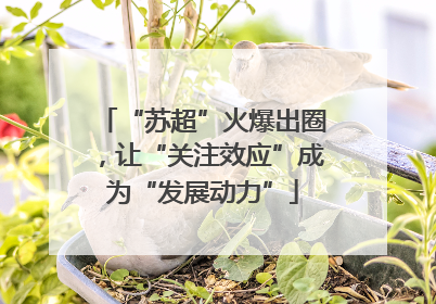 “苏超”火爆出圈，让“关注效应”成为“发展动力”