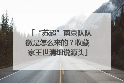 “苏超”南京队队徽是怎么来的？收藏家王世清细说源头