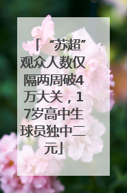 “苏超”观众人数仅隔两周破4万大关，17岁高中生球员独中二元