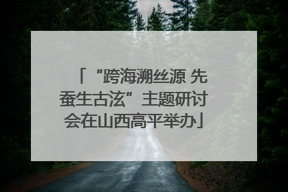 “跨海溯丝源 先蚕生古泫”主题研讨会在山西高平举办