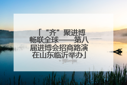 “齐”聚进博 畅联全球——第八届进博会招商路演在山东临沂举办