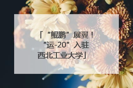 “鲲鹏”展翼！“运-20”入驻西北工业大学