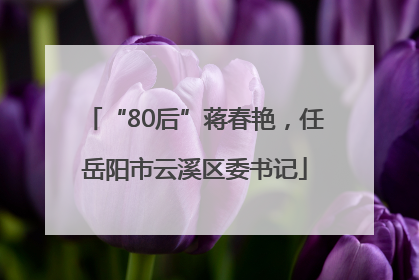 “80后”蒋春艳，任岳阳市云溪区委书记