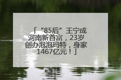 “85后”王宁成河南新首富，23岁创办泡泡玛特，身家1467亿元！