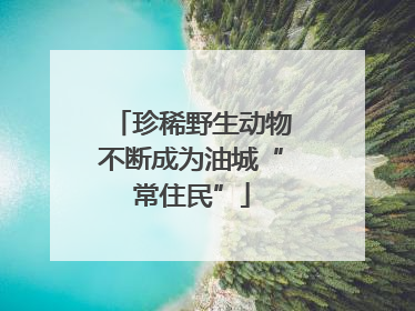 珍稀野生动物不断成为油城“常住民”
