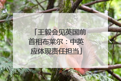 王毅会见英国前首相布莱尔：中英应体现责任担当