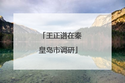 王正谱在秦皇岛市调研